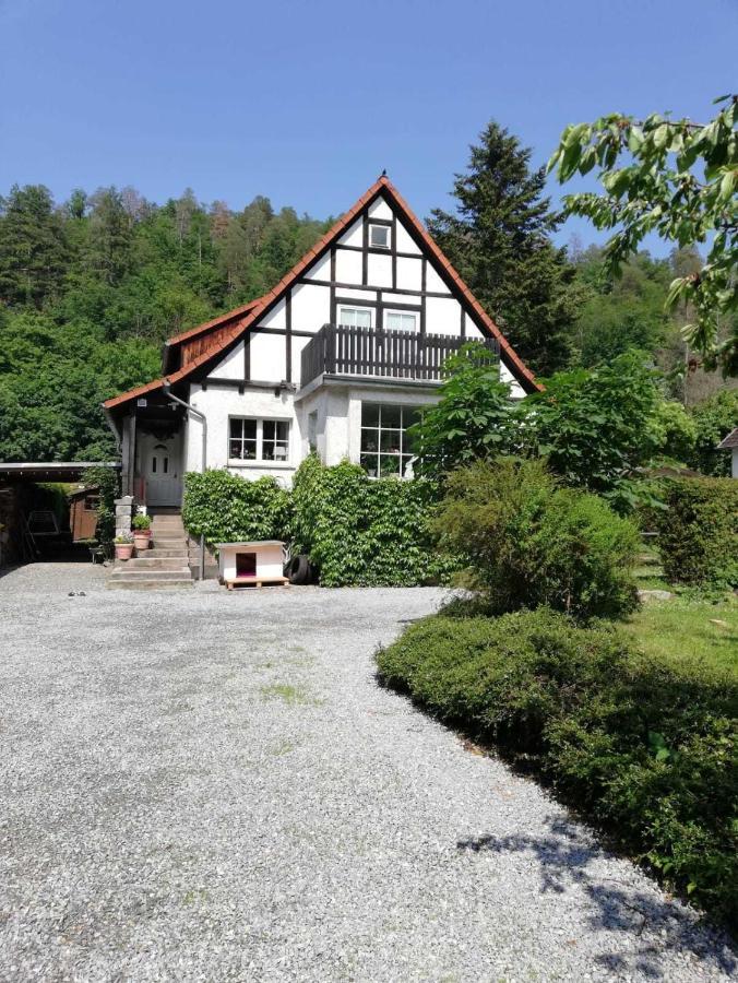 Ferienwohnung Natur Pur Muehlental Wernigerode Exteriér fotografie
