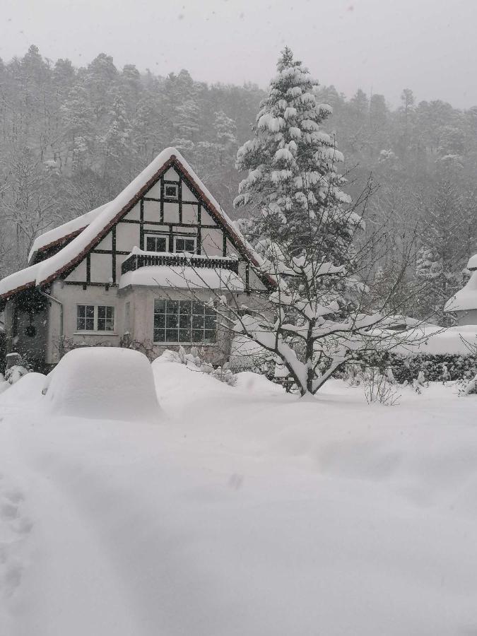 Ferienwohnung Natur Pur Muehlental Wernigerode Exteriér fotografie