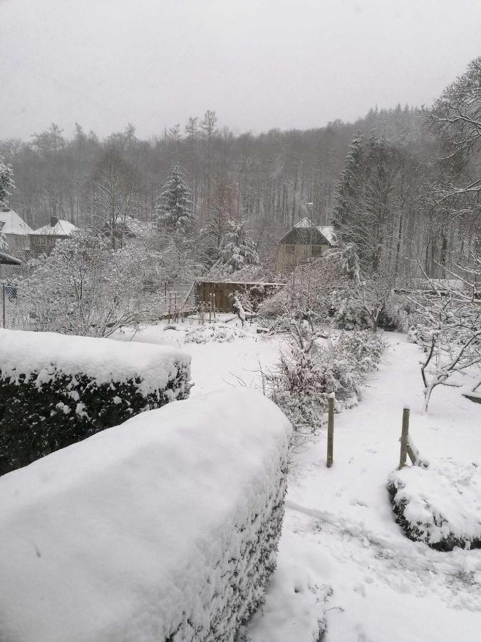 Ferienwohnung Natur Pur Muehlental Wernigerode Exteriér fotografie