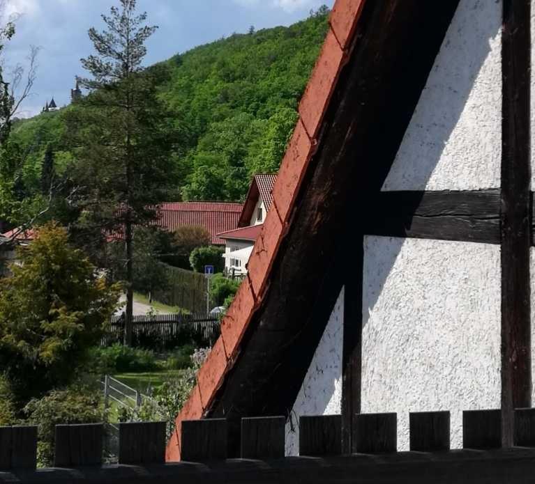 Ferienwohnung Natur Pur Muehlental Wernigerode Exteriér fotografie